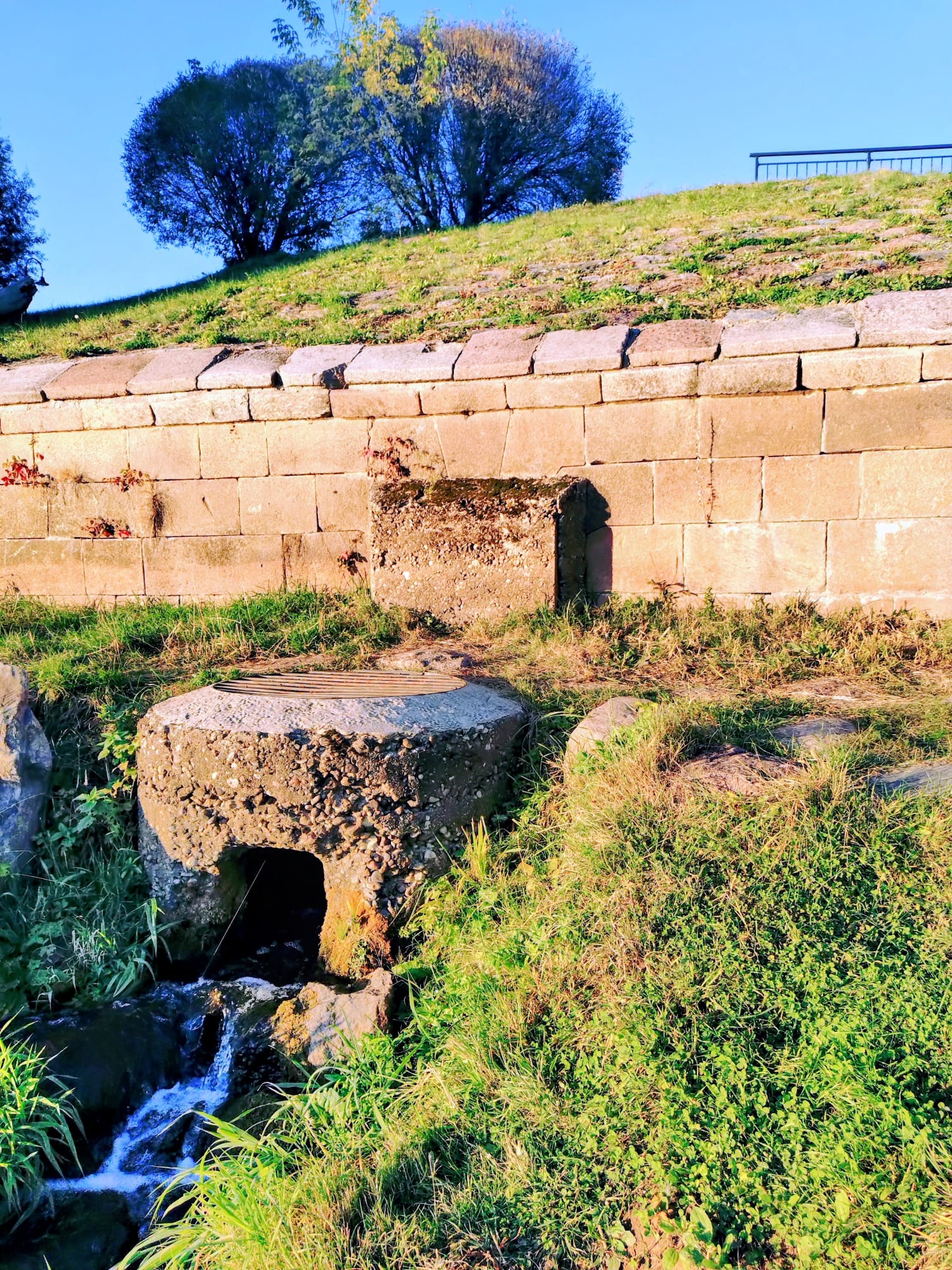 whatsapp image 2026 01 30 at 08.41.07 (1)