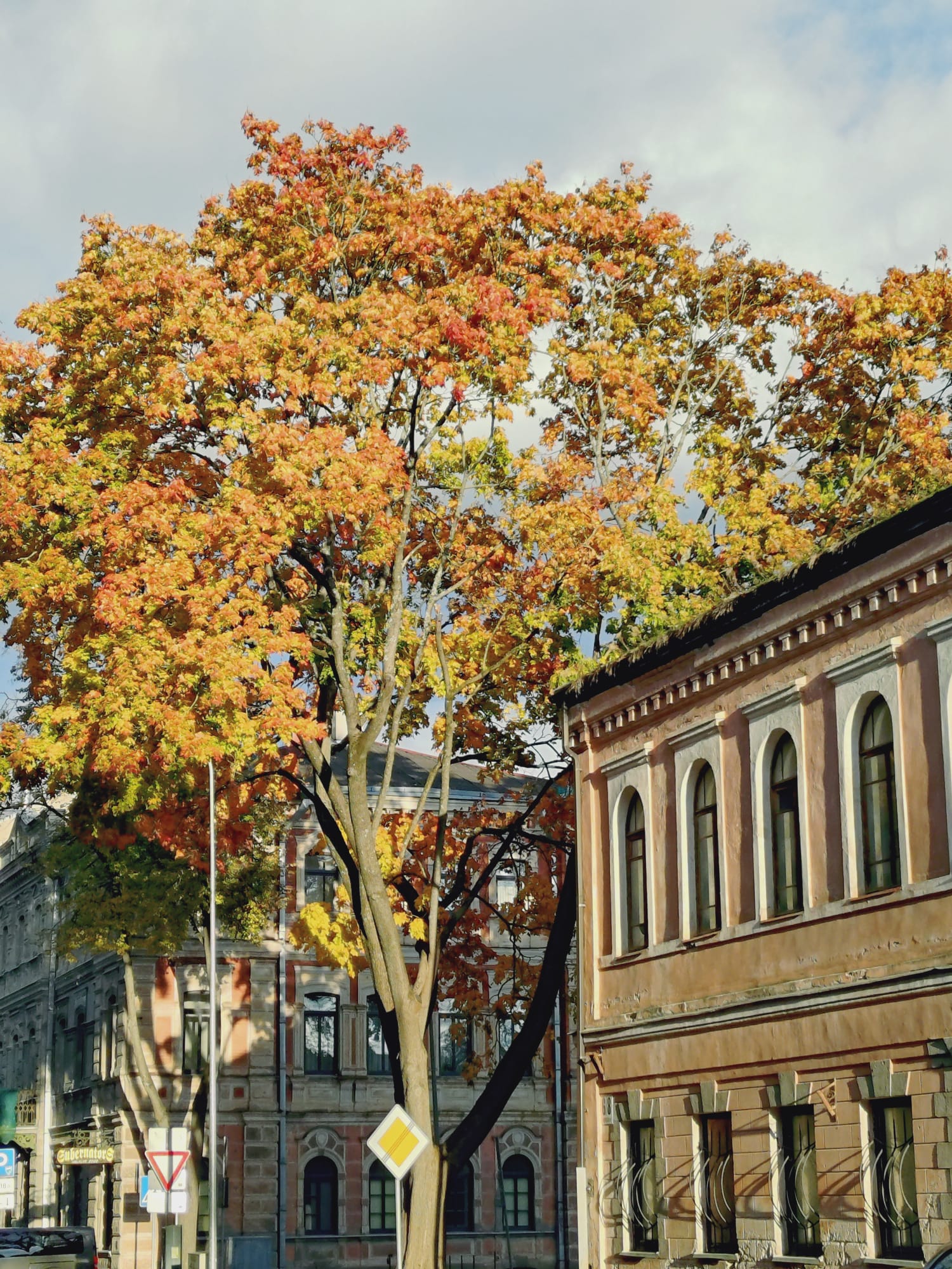 whatsapp image 2026 01 30 at 08.41.07