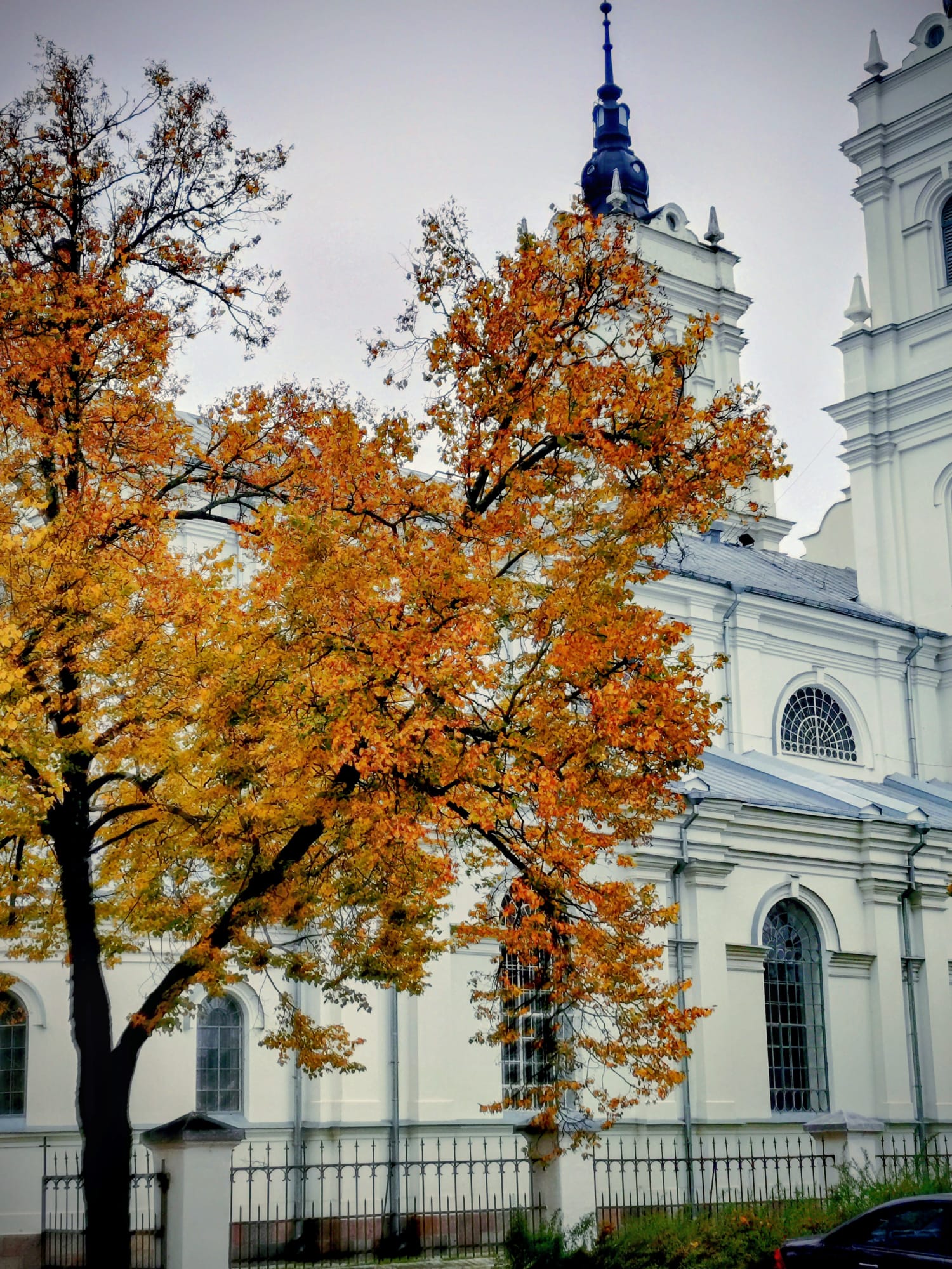 whatsapp image 2026 01 30 at 08.41.13 (6)